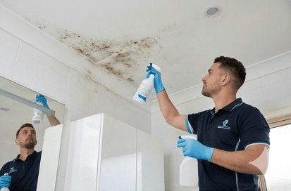 Mould Cleaning
